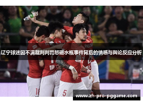 辽宁球迷因不满裁判判罚怒砸水瓶事件背后的情感与舆论反应分析