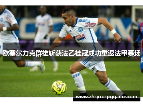 欧塞尔力克群雄斩获法乙桂冠成功重返法甲赛场