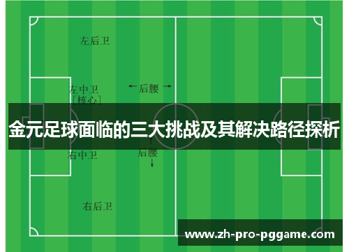 金元足球面临的三大挑战及其解决路径探析
